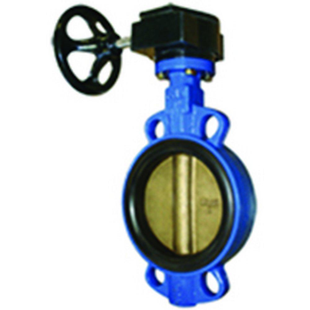 FNW&reg; Cast Iron Buna-N Lever Handle Butterfly Valve 