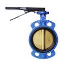 FNW&reg; LF Cast Iron Buna Lever Handle Wafer Butterfly Valve 