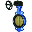 4 in. Cast Iron Buna-N Lever Handle Butterfly Valve