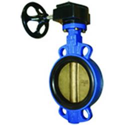 2 in. Cast Iron EPDM Lever Operated Wafer Butterfly Valve