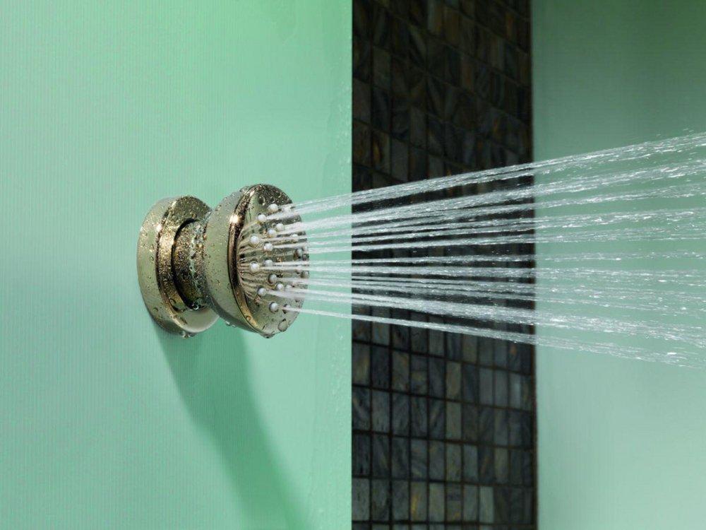 Brizo Polished Nickel Single Function Body Spray 