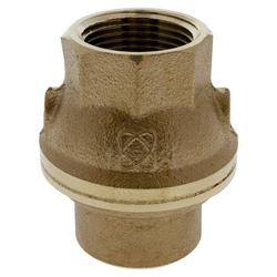 1 in. Bronze FNPT Spring Check Valve