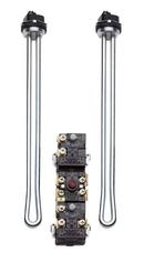 PROSELECT® 1 in. NPSM Water Heater Tune Up Kit 