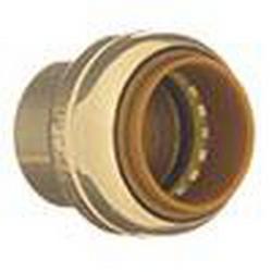 1/2 in. CPVC Tube Cap