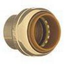 Elkhart CPVC Tube Cap 