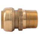 SharkBite® Push x MNPT Brass Adapter 