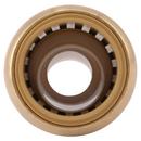 SharkBite&reg; Natural Brass Push Brass Coupling 