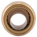 SharkBite® Natural Brass Push Brass Coupling 