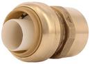 SharkBite® Push x FNPT Brass Adapter 
