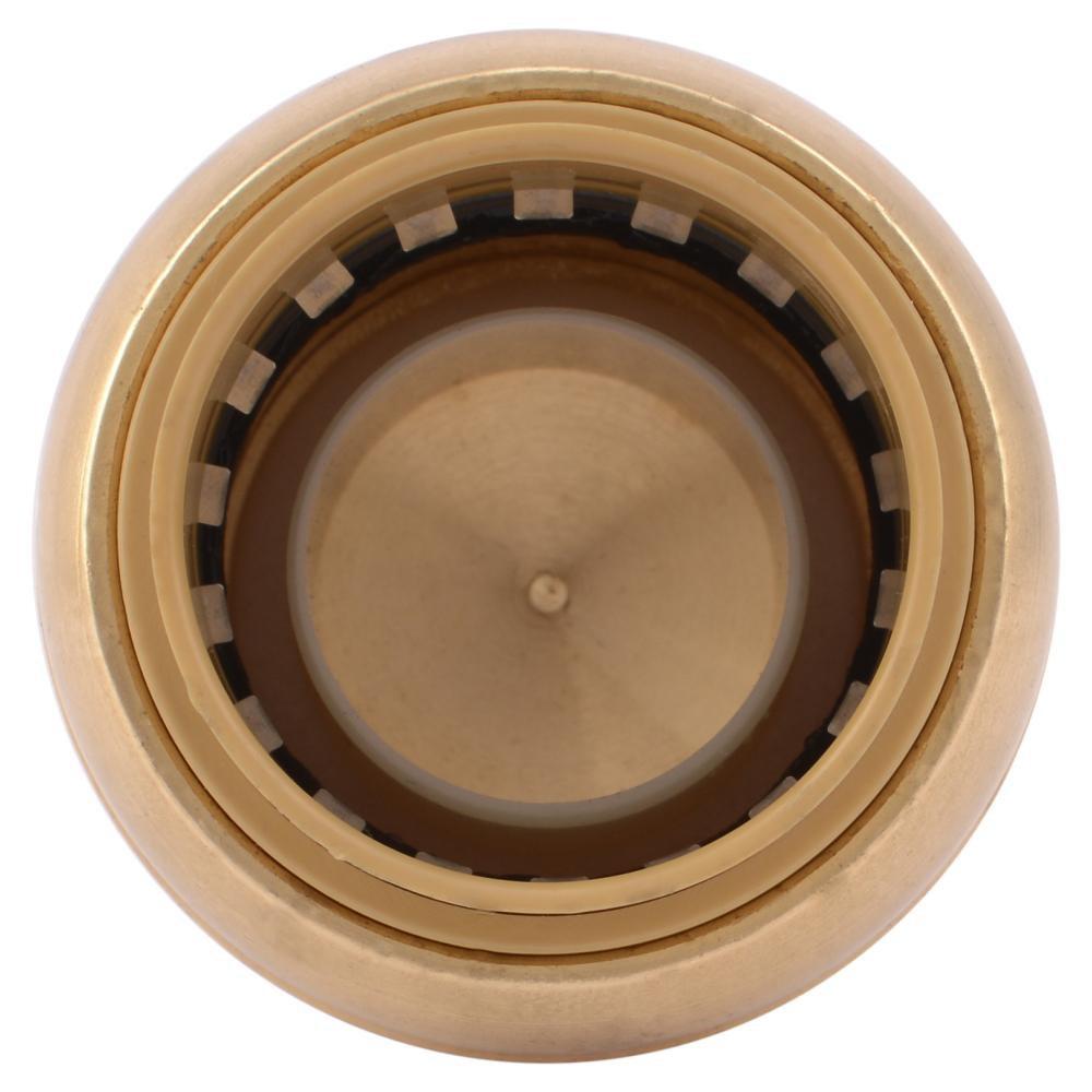 SharkBite® Push Brass Cap 
