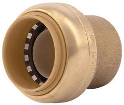 1 in. Push Brass Cap