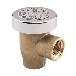 FNPT Brass 1/2 in. 125 psi BFP Vacuum Breaker