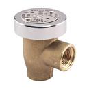 Watts Brass FNPT Brass 125 psi BFP Vacuum Breaker 