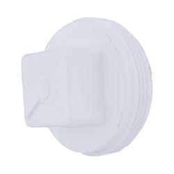 2 in. PVC DWV Plug