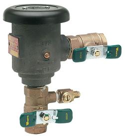 FNPT Epoxy Coated Copper Silicon Alloy 3/8 in. 150 psi BFP Vacuum Breaker