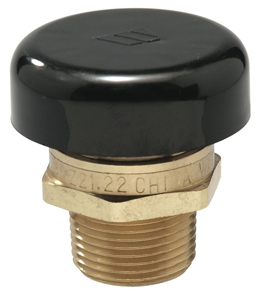 Watts Brass MNPT 15# 250 Relief Valve 