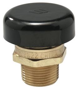 3/4 in. Brass MNPT 15# 250 Relief Valve