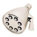 Speakman Polished Nickel Multi Function Intense, Rain and Flood Showerhead 