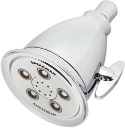 Multi Function Showerhead in Polished Chrome