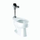 0.5 gpf Elongated One Piece Toilet in Chrome Plated with Rough Brass