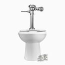 1.6 gpf Elongated One Piece Toilet in Polished Chrome