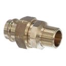 Viega Press x MPT Bronze Union 