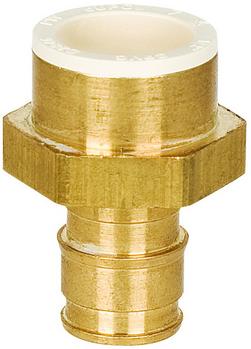 1/2 in. Brass PEX Expansion x 1/2 in. CPVC Socket Weld Adapter