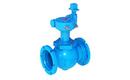 6 in. Cast Iron Mechanical Joint Buried Gear with 2 in. Nut Plug Valve