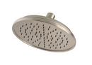 Pfister Brushed Nickel Single Function Rain Showerhead