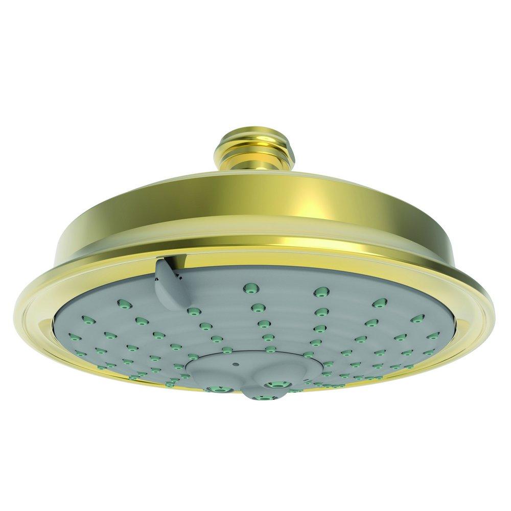 Newport Brass Forever Brass - PVD Multi Function Full and Massage Showerhead 