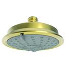 Multi Function Full, Massage, Intense Turbo and Combination Showerhead in Forever Brass - PVD
