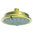 Newport Brass Forever Brass - PVD Multi Function Full and Massage Showerhead 