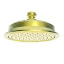 Newport Brass Forever Brass - PVD Single Function Showerhead 