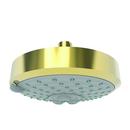 Multi Function Showerhead in Forever Brass - PVD