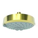 Newport Brass Forever Brass - PVD Multi Function Full, Massage, Intense Turbo and Combination Showerhead 