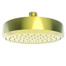 Newport Brass Forever Brass - PVD Single Function Full Showerhead 
