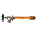 Champion-Arrowhead 1/2 x 3/4 in. FIPS and MIPS x MGHT Wall Hydrant 