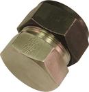 Tylok OD Tube Stainless Steel Single Cap 