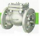 1-1/2 in. Stainless Steel Flanged Check Valve