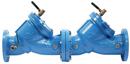 Watts Cast Iron Flanged Backflow Preventer 