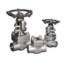 2 in. Stainless Steel Socket Weld Swing Check Valve