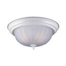 Seagull Lighting White 5-3/4 x 12-3/4 in. 60 W 2-Light Medium Flush Mount Ceiling Fixture 