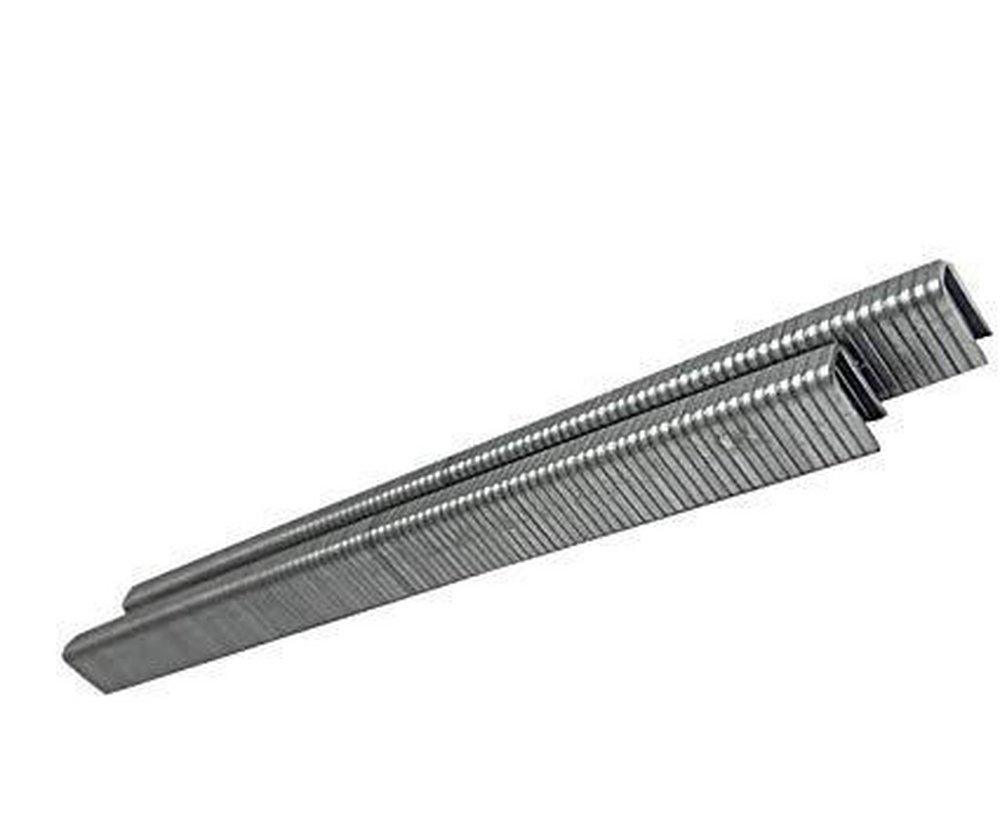 Senco Products 1/4 in. Galvanized Staple 