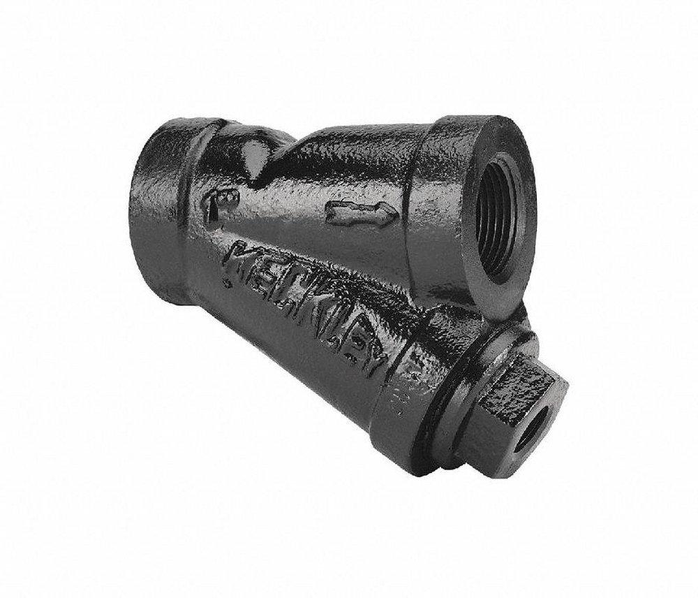 Sure Flow Products Threaded x Threaded Cast Iron Mesh Wye Strainer 
