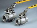 Flow-Tek Stainless Steel Full Port NPT 1000# Ball Valve 