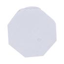 White PVC Schedule 40 MPT Plug 