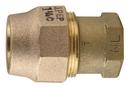 Ford Meter Box FIPS x Grip Joint Brass Coupling 