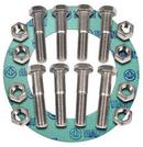 FNW&reg; Green 2 x 3 in. Non-Asbestos, Carbon Steel 300# Nut, Bolt and Gasket Kit 