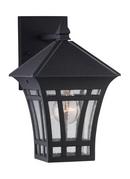 Visual Comfort & Co. Generation Lighting Black 7-1/8 in. 100 W 1-Light Medium Lantern 