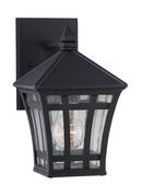 Visual Comfort & Co. Generation Lighting Black 1-Light Outdoor Wall Lantern 